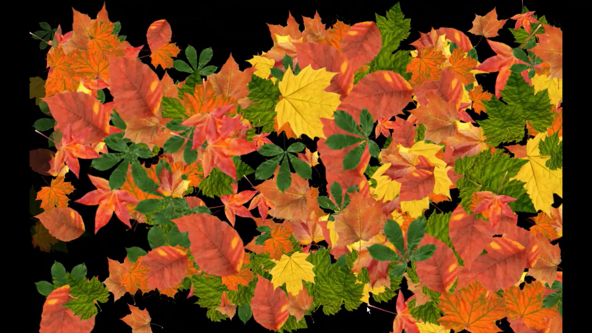 The scatter theme features different objects that can be scattered around the interactive projection, this image shows a pile of leaves that when the user touches with there hands or a brush will sweep into a virtual pile, the leaves will provide a rustling sound feedback.