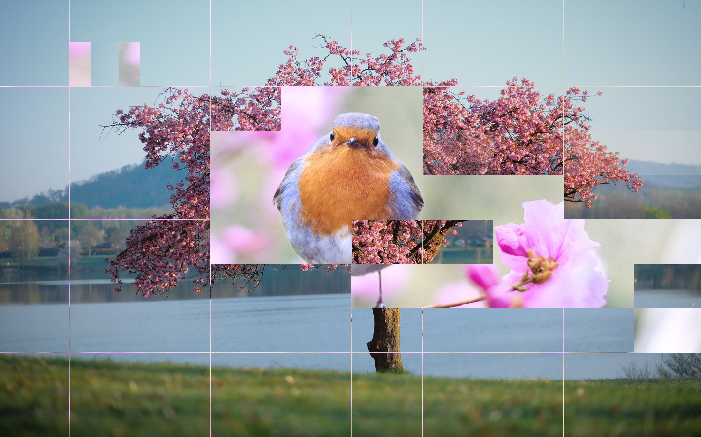 The tiles activity which is part of the Imaginate Suite supplied on the range of SENse interactive projectors. This tile activity shows a cherry tree and when the user wipes over the image it reveals an image of a robin sitting in the cherry tree.